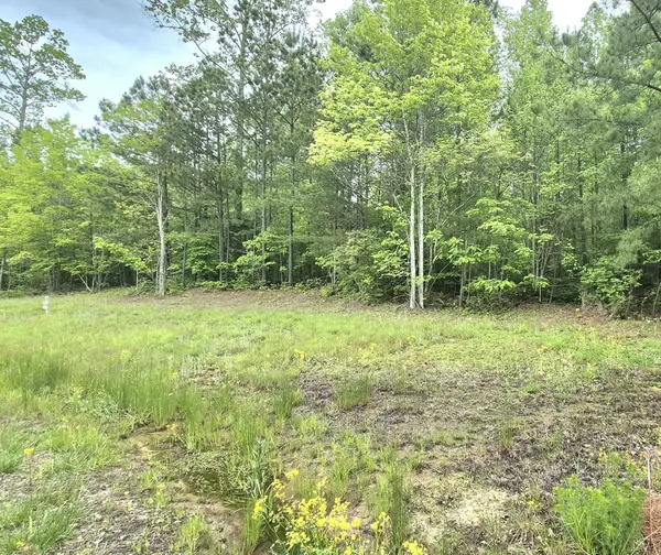 6070 Raulston Falls Road, Jasper, TN 37347