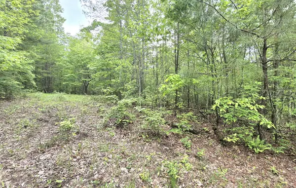 6070 Raulston Falls Road, Jasper, TN 37347