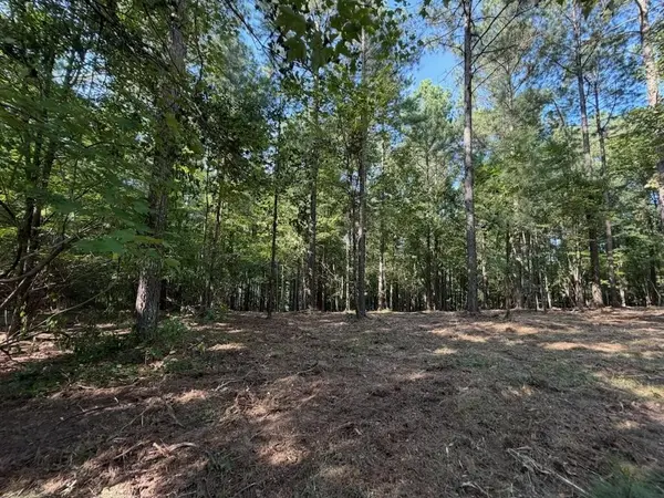 3715 Split Rail Way, Guild, TN 37340