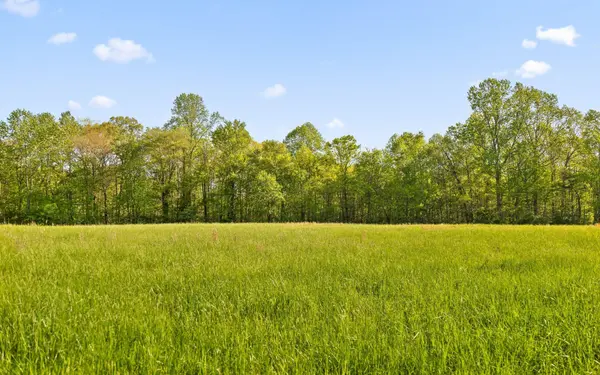 384 Clouse Hill Road, Tracy City, TN 37387