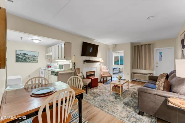 413 Baskins Creek Rd #205, Gatlinburg, TN 37738