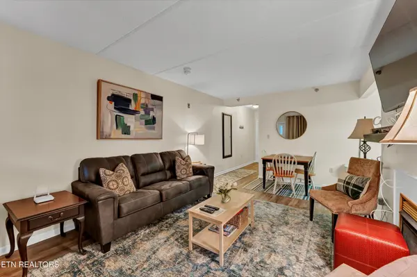 413 Baskins Creek Rd #205, Gatlinburg, TN 37738