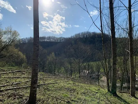 662 Wilmore Hollow Rd, Pleasant Shade, TN 37145