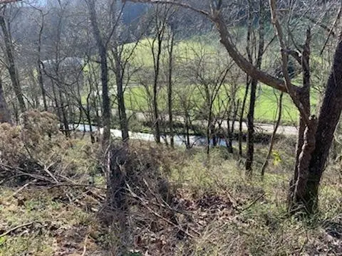 662 Wilmore Hollow Rd, Pleasant Shade, TN 37145
