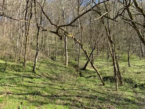 662 Wilmore Hollow Rd, Pleasant Shade, TN 37145