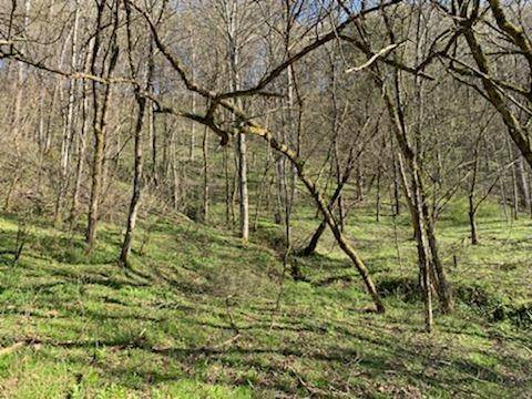 662 Wilmore Hollow Rd, Pleasant Shade, TN 37145