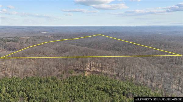 0 West of Magnolia Road, Stewart, TN 37175