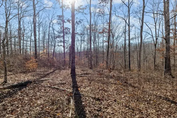 0 West of Magnolia Road, Stewart, TN 37175