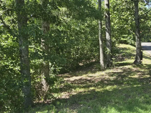 0 Sunset Ridge, Waverly, TN 37185