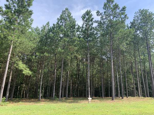 350 Crockett Loop, Jasper, TN 37347