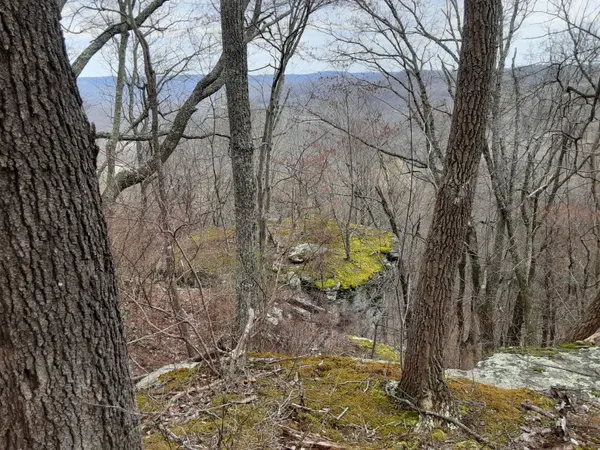 0 SHEEP BLUFF ROAD, Cookeville, TN 38506