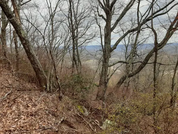 0 SHEEP BLUFF ROAD, Cookeville, TN 38506