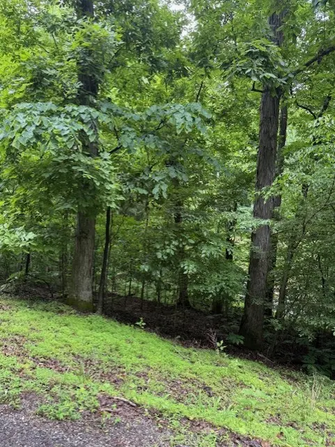 0 Mayapple Drive, Cadiz, KY 42211