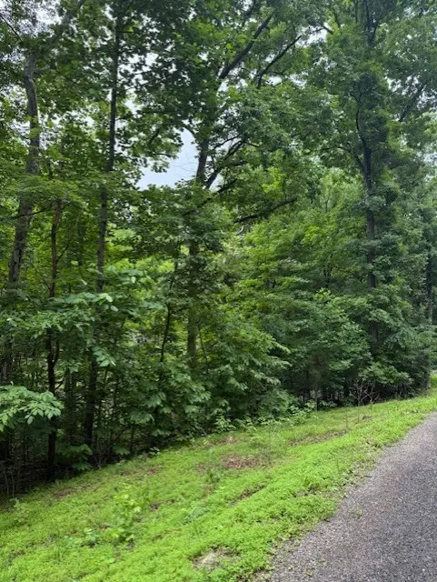 0 Mayapple Drive, Cadiz, KY 42211