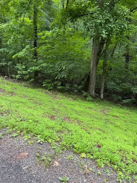 0 Mayapple Drive, Cadiz, KY 42211