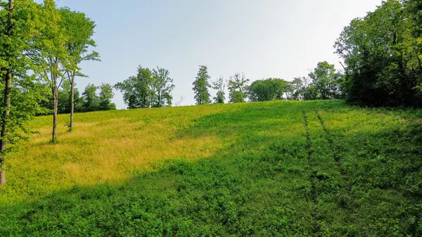 0 Hwy 64 W, Pulaski, TN 38478