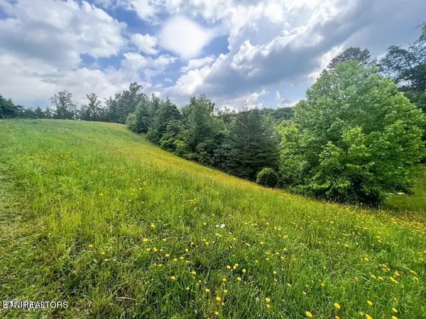 6213 Outlook Trl, Russellville, TN 37860