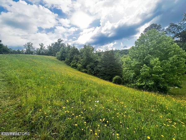 6219 Outlook Trl, Russellville, TN 37860