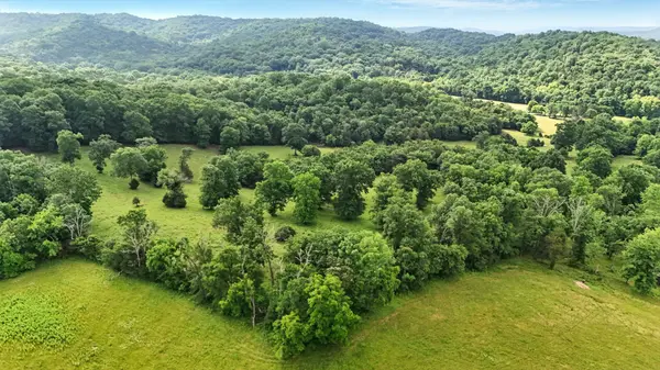 124 Blue Smith Rd, Cornersville, TN 37047