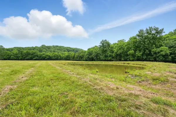 124 Blue Smith Rd, Cornersville, TN 37047