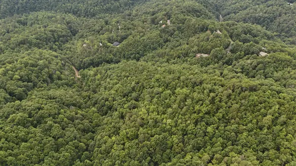 0 S King Branch Road #S, Sevierville, TN 37876