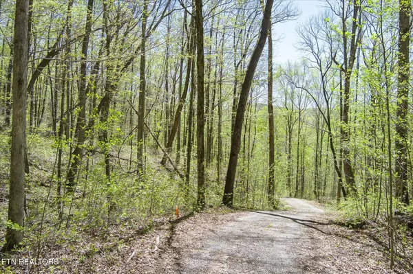 0 Pawnee Lane, Jamestown, TN 38556