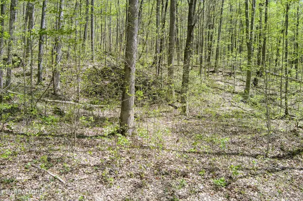 0 Pawnee Lane, Jamestown, TN 38556