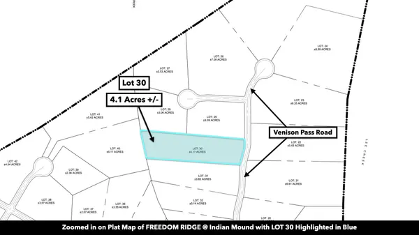 0 Freedom Ridge, Indian Mound, TN 37079