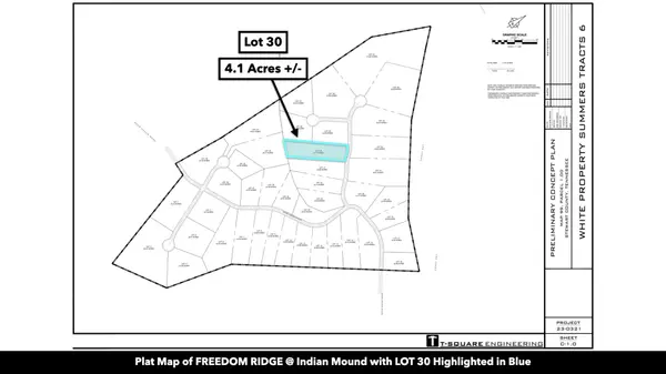 0 Freedom Ridge, Indian Mound, TN 37079