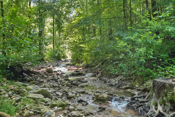 4006 Stones River Rd, Woodbury, TN 37190