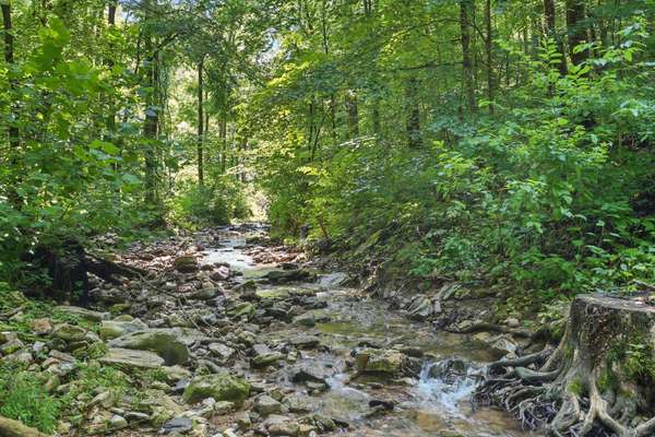4006 Stones River Rd, Woodbury, TN 37190