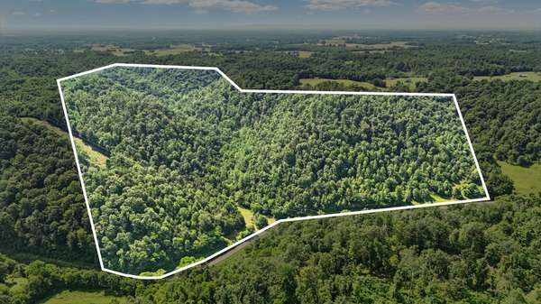 4006 Stones River Rd, Woodbury, TN 37190