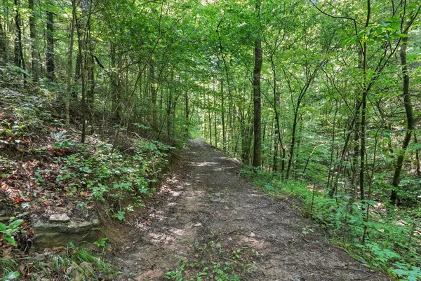 4006 Stones River Rd, Woodbury, TN 37190