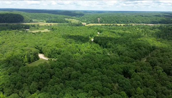 0 Three Rivers Dr, Hurricane Mills, TN 37078