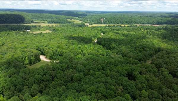 0 Three Rivers Dr, Hurricane Mills, TN 37078
