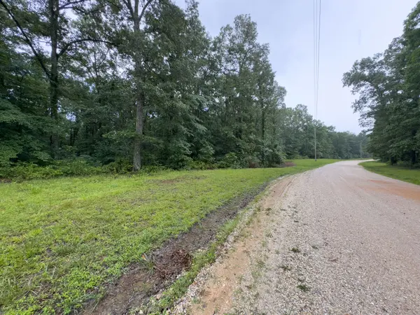 0 Three Rivers Dr, Hurricane Mills, TN 37078
