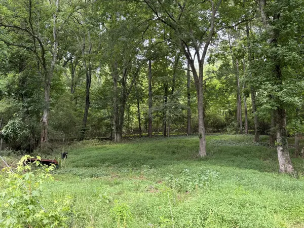 8907 Hidden Branches Road, Harrison, TN 37341