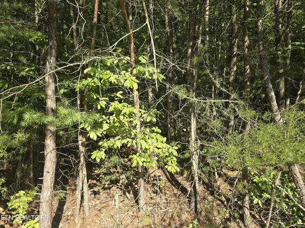 29 Byron Lane, Crossville, TN 38558