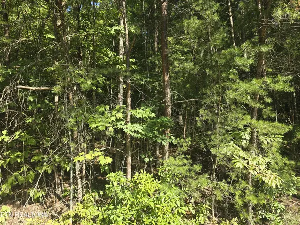 29 Byron Lane, Crossville, TN 38558
