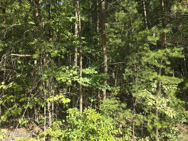 29 Byron Lane, Crossville, TN 38558