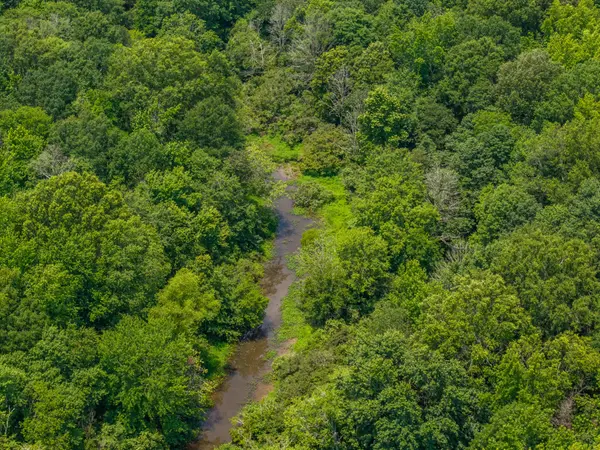 0 Old Railroad Bed Rd, Taft, TN 38488