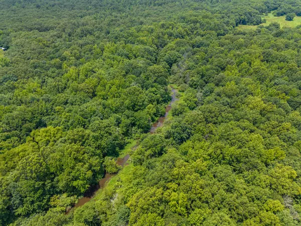 0 Old Railroad Bed Rd, Taft, TN 38488