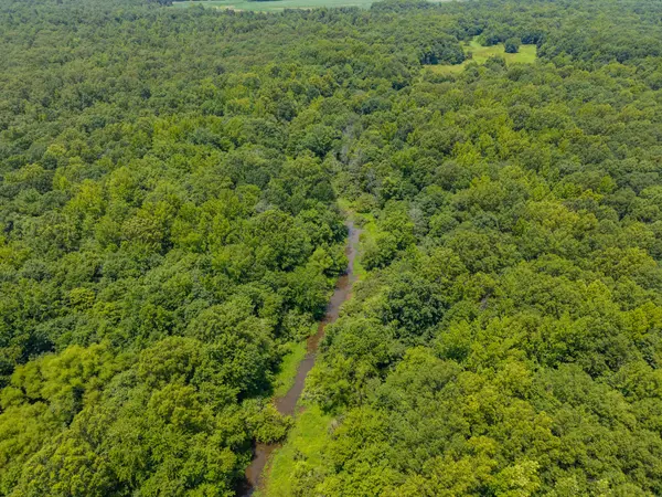0 Old Railroad Bed Rd, Taft, TN 38488