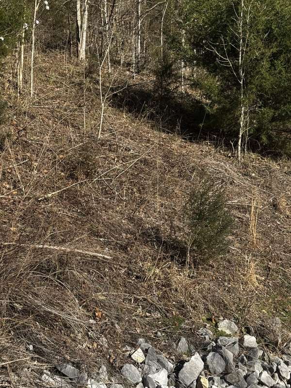 92 Shoreside Dr, Smithville, TN 37166
