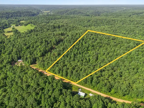 220 Ellies Run, Mount Pleasant, TN 38474