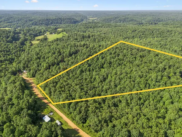 220 Ellies Run, Mount Pleasant, TN 38474