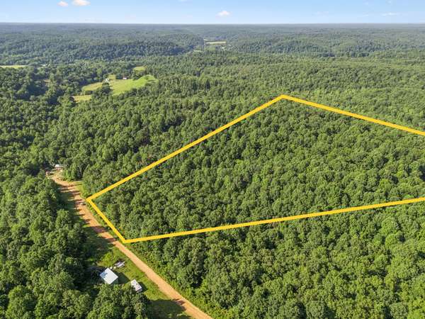 220 Ellies Run, Mount Pleasant, TN 38474
