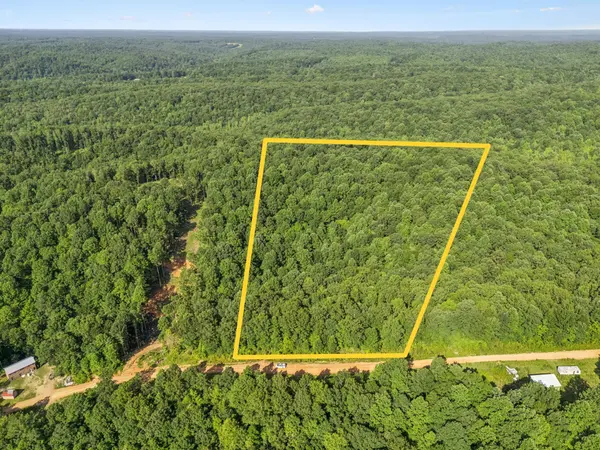 220 Ellies Run, Mount Pleasant, TN 38474