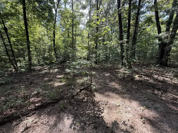 0 Webb Rd Ext, Summertown, TN 38483