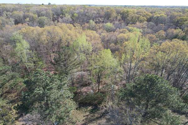0 Webb Rd Ext, Summertown, TN 38483